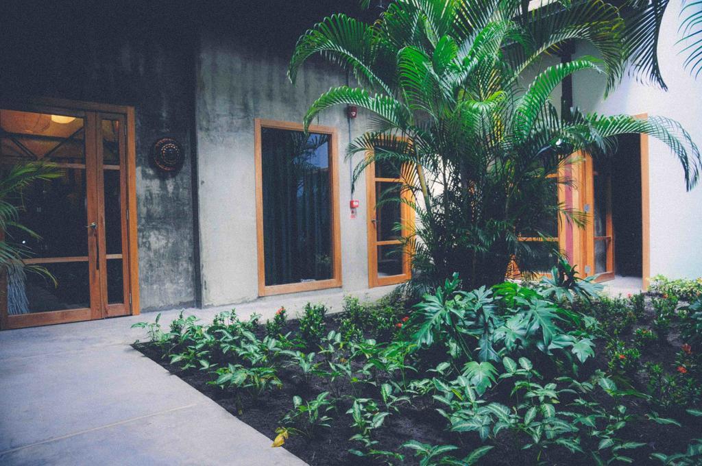 Hotel Casa Panama Zewnętrze zdjęcie